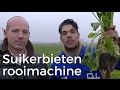 Boer Zoekt Machine - Suikerbietenrooier | Het Klokhuis