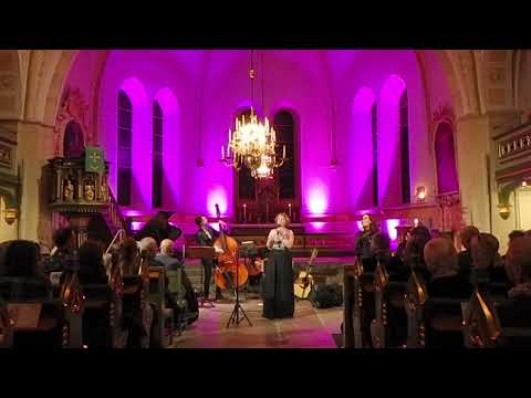 Det stora röda huset - Maria Sitte