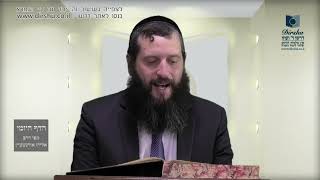 הדף היומי מסכת ביצה דף ט
