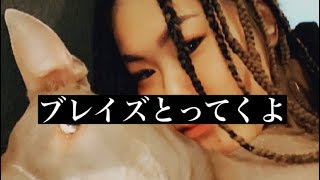 久しぶりの動画〜ブレイズといていくぅ〜 【Part 1】