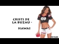 CRISTI DE LA BUZAU HAWAI