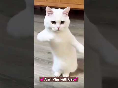 Anvi play with cat💕💕💕