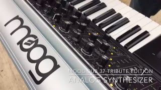 Video thumbnail for Moog Sub 37 Tribute Edition Analog Synthesizer by MyDukkan