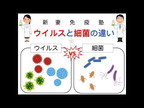 細菌とウイルス: 違いは何ですか?