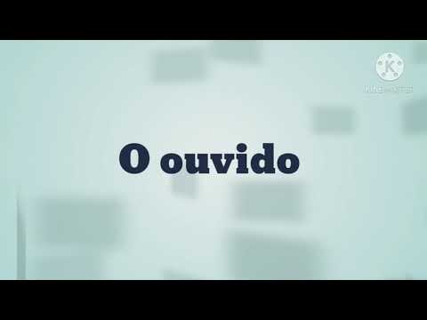 O ouvido e suas partes