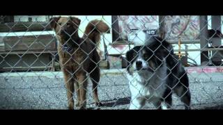 Trailer for Animals As Leaders new video for "Weightless"