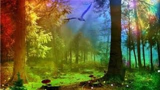 Back to Back Whitey Morgan And The 78s