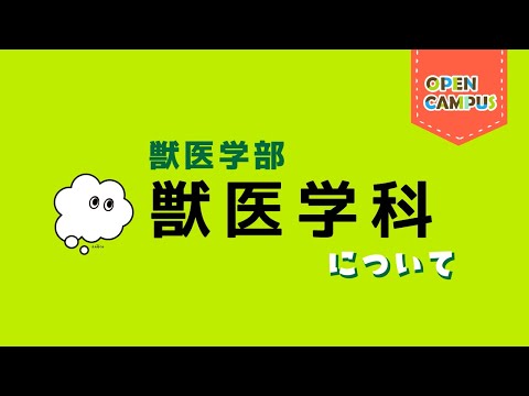 【獣医学科】学科概要