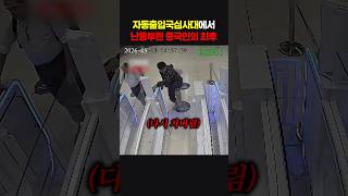 Download lagu The Final Fate of the Chinese National Who Caused a Disturbance at the Automated Immigration Gate mp3