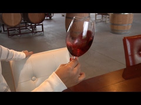 download lagu mp3 mp4 Great Tasting Wine For Beginners, download lagu Great Tasting Wine For Beginners gratis, unduh video klip Great Tasting Wine For Beginners