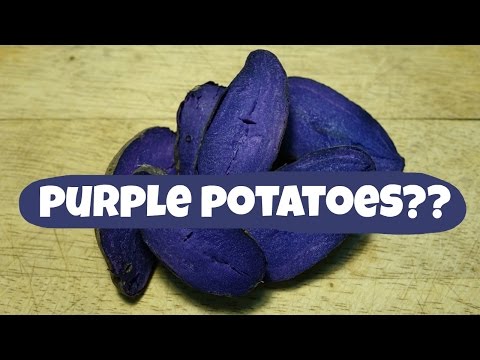 download lagu mp3 mp4 Blue Potatoes Taste, download lagu Blue Potatoes Taste gratis, unduh video klip Blue Potatoes Taste