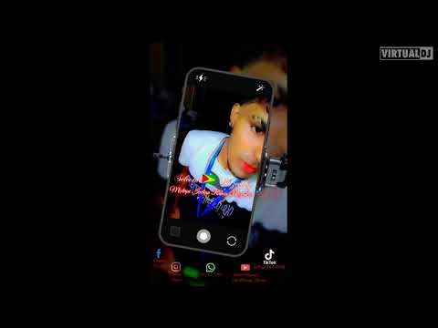 Mixtape Indian Remix Mix #2 | Selector Blazevybz