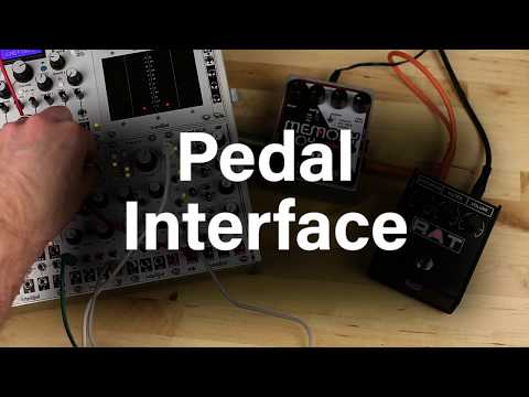 Intellijel 1U Pedal Interface