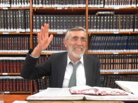הרב יהושע ביבי - תשפ"ו - בין המצרים - שיעור מס' 002 - חילופי שם הוי' שבבתפילת עמידה להלכה