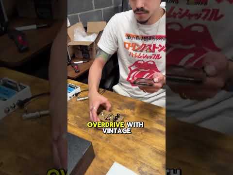 Barber PLUS Gold 5 Watt World Overdrive Boost image 8