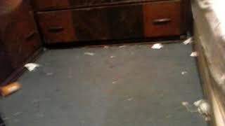 Once or twice-Chicago the late greatest guitarist ever Terry Kath with Dom Anicola on vocal