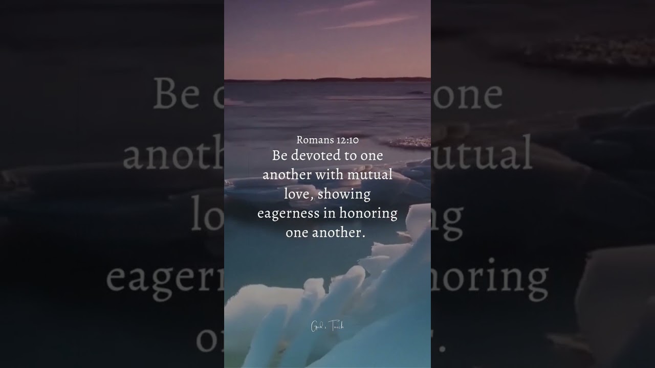 Romans 12:10 🙏🏻❤️ #bible #dailybibleverse #bibleverse