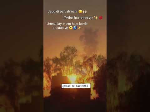 Mention your loved ones🌎✨........Ignore hashtags❌#love #pyar #relationship #tag#shayaris