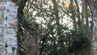 CHISEL HILL by CHRIS REA