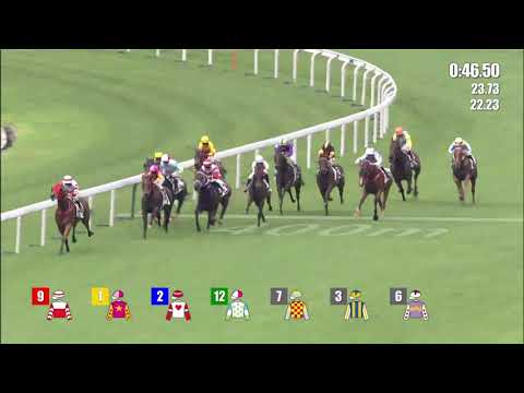 V.Borges - Touch Of Luck - 6ª vitória HK