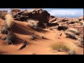 DESERT WIND    Michael Dulin