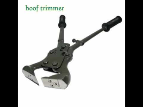 Types of veterinary instruments