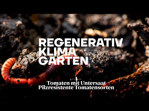, title : 'Resistente Tomaten Regenerativ mit Unterssat anbauen'