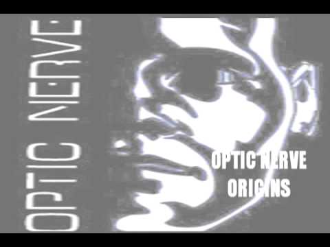 Optic Nerve - Origins