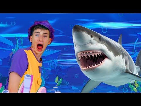 Sharks in the Water! 🦈 | Kids Funny Songs