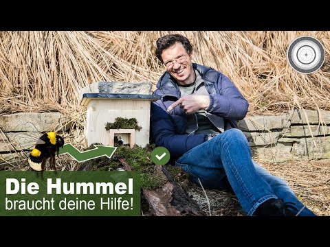 Hummelkasten aufstellen - SO MACHST DU ES RICHTIG 👍🏻