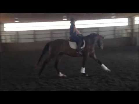 Shan Joaquin 5-23-16