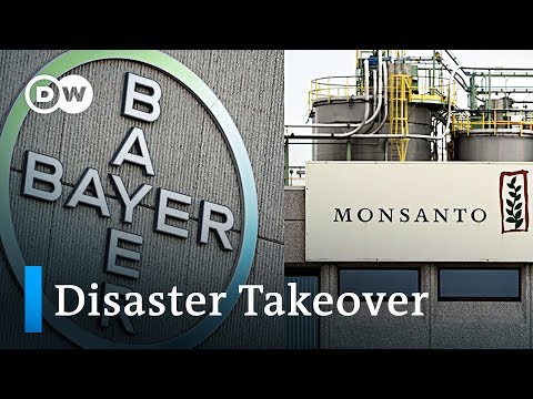 Bayer's acquisition of Monsanto is becoming a disaster | DW News