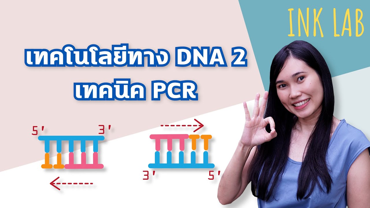 🧬เทคโนโลยีทาง DNA 2 : เทคนิค PCR [Biology#36]