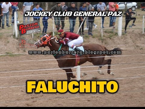 FALUCHITO, General Paz (13-10-19)