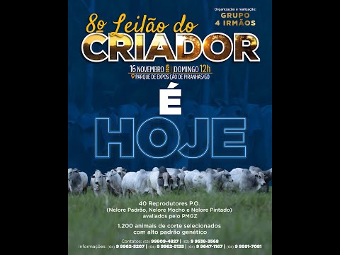 8° LEILÃO DO CRIADOR  - PIRANHAS GOIAS 16/11/2025