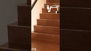 How does this vacuum cleaner climb stairs?
