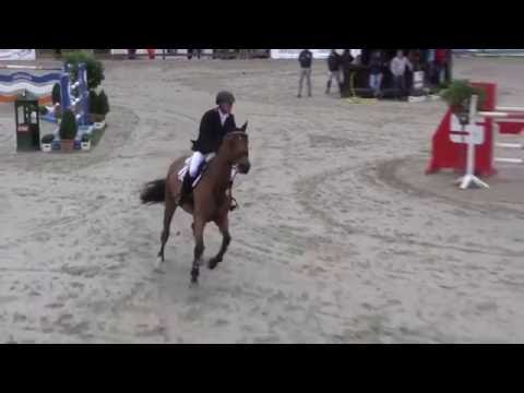 8 yo mare Lord Pezi x Argentinus. won and placed up to 1,50 m