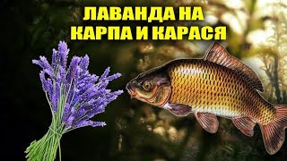Сабанеев л. все о рыбалке