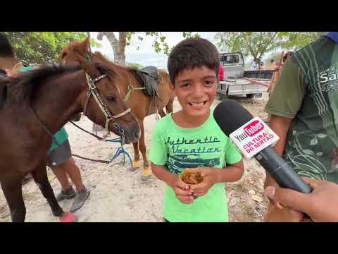 Feira de Cavalos do Bola Monteiropolis - AL 06 - 09 - 2026 #nordeste