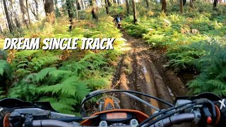 This SINGLE TRACK is INSANE!