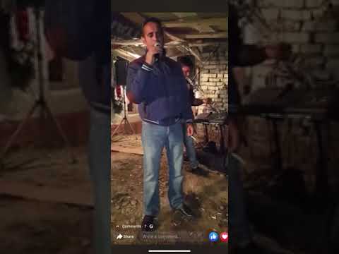 Steluta iacob fagras