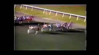 1993 Meadowlands GIVE ME AN INCH Joe Pavia Jr