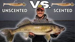 Does Scent Help Catch Fish? (We Tested it on BIG Walleyes!)