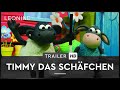 TIMMY DAS SCHÄFCHEN Trailer Deutsch German