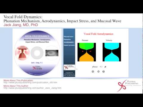 Vocal Fold Dynamics CD - by Jack Jiang, MD, PhD