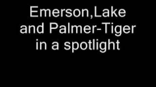 ELP Tiger in a spotlight