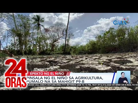 Pinsala ng El Niño sa agrikultura, pumalo na sa mahigit P9-B 24 Oras