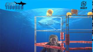 DIA 2 Expo Tiburon207