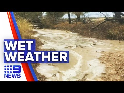 Rain hits hard in drought stricken Queensland | Nine News Australia