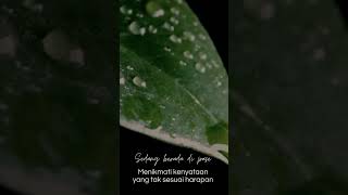 Download lagu Karena takdir terbaik menurut tuhan itu tidak bisa ditebak #shorts #status mp3